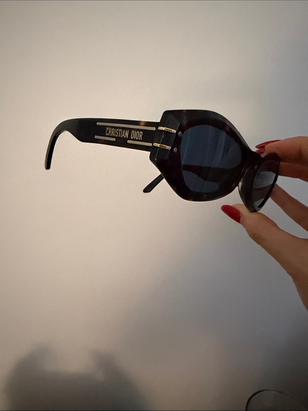 Dior Black Oversized Women's Sunglasses with Gold Logo